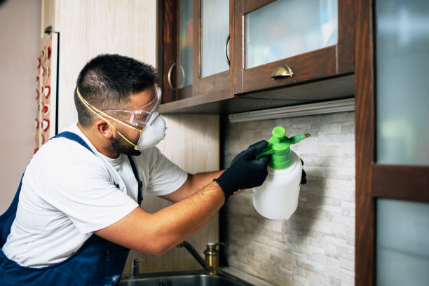 Best Affordable Pest Control Services  in West End, NY