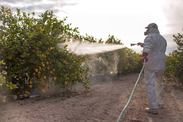 Best Bed Bug Extermination  in West End, NY