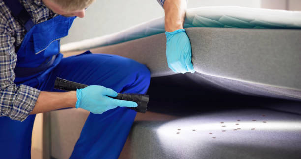 Best Best Pest Control Companies  in West End, NY