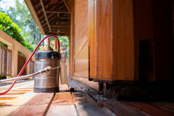 Best Wasp Removal Services  in West End, NY