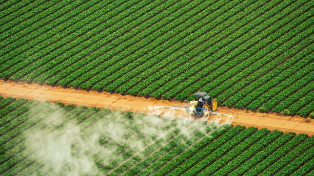 Best Commercial Pest Control Services  in West End, NY