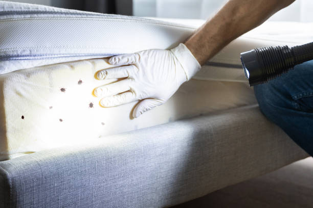 Best Pest Prevention Services  in West End, NY