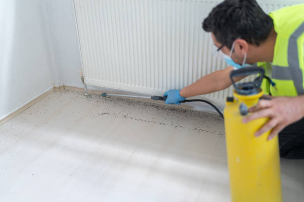 Professional Pest Control in West End, NY
